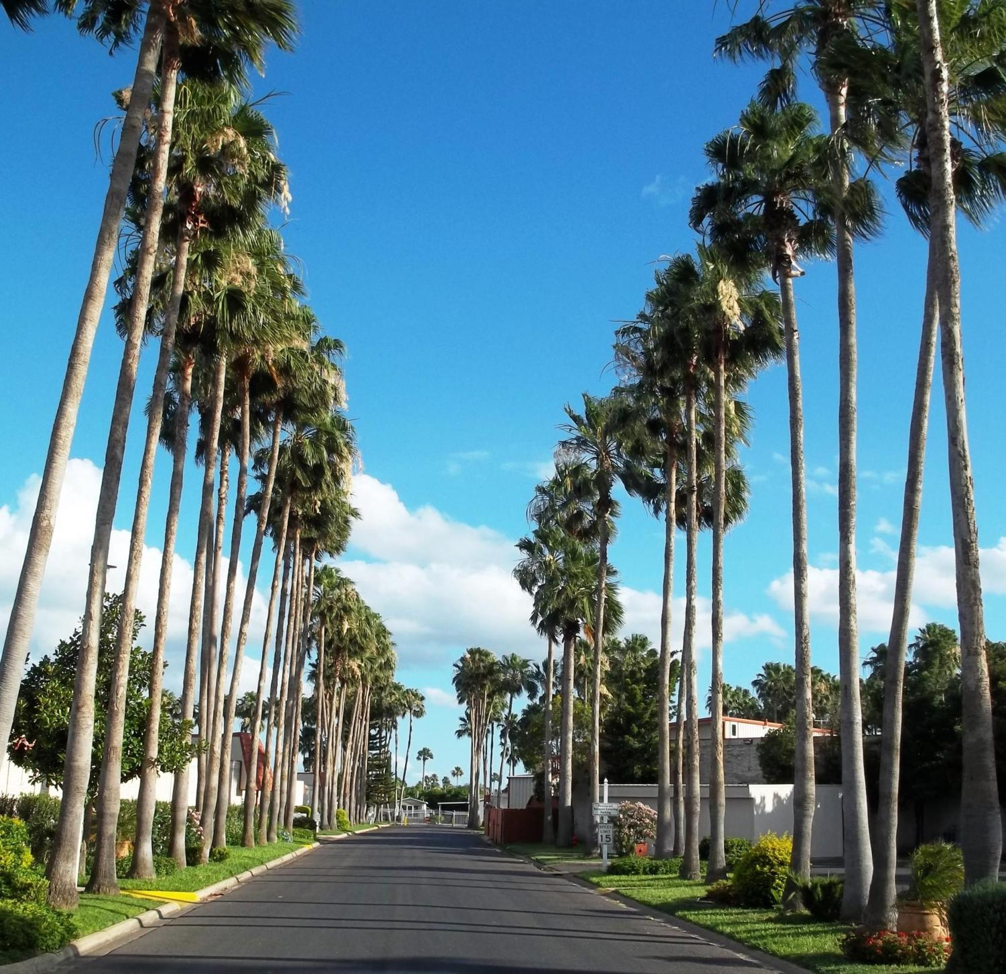 Victoria Palms Inn And Suites Donna المظهر الخارجي الصورة